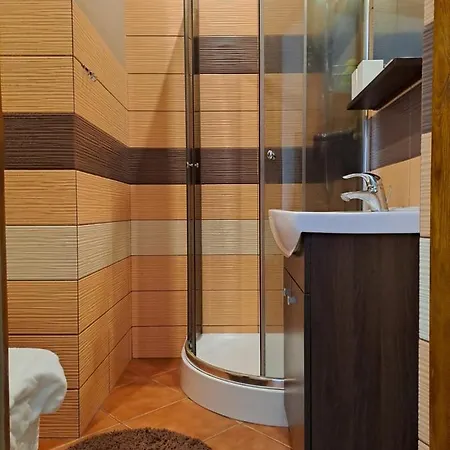 Apartament Przy Szlaku 포드고르진