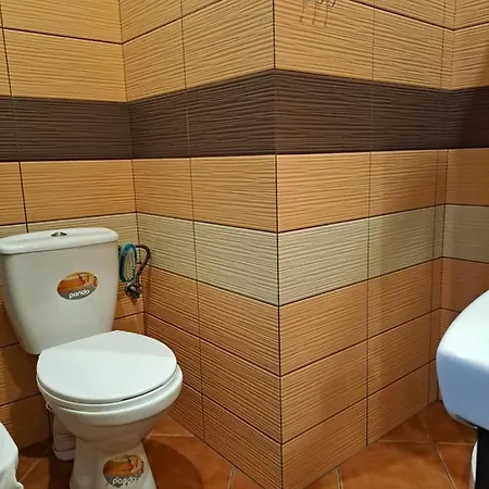 Apartament Przy Szlaku 포드고르진