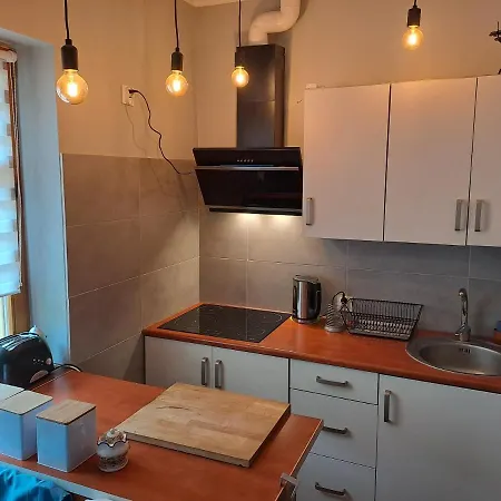 Apartament Przy Szlaku * 포드고르진