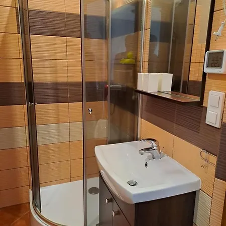 Apartament Przy Szlaku 아파트 포드고르진